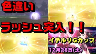 【色違いが止まらない】今作ようやく色運が開花した男【ポケモン剣盾：厳選】　#ポケモン　#剣盾　#色違い