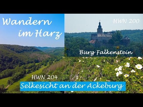 Wandern im Harz: Selkesicht an der Ackeburg