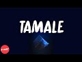 Tyler The Creator Tamale Lyrics