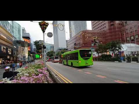 15Dec2025   Orchard St