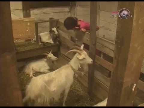 FARMA 4 - Stanija prica sa kozama :))