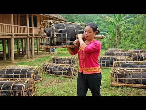 Raising Pigs for Over Two Years – Harvesting 100kg of Meat to Sell at the Market | Rural Farm Life