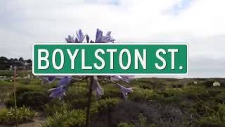 Boylston St. - Morwenna Lasko & Jay Pun Quartet