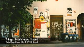 Plastic Plates - Things I Didn't Know I Loved (Amine Edge & DANCE Remix)