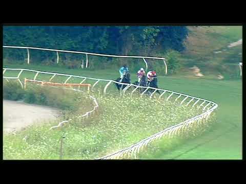 Galoppo 01/08/2020 - 4ª corsa