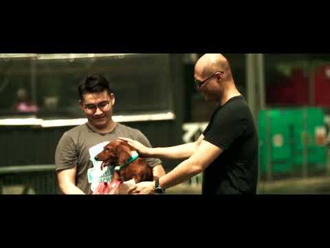 Brand 46 — watch on YouTube
