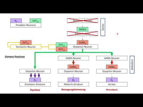 Antipsychotika - Eine Einführung für Medizinstudenten