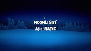 Ali Gatie - Moonlight (lyrics)