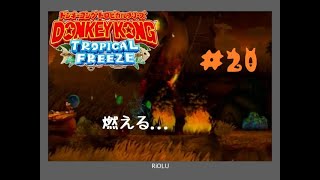 【ドンキーコングＴＦ】3－4「ヘルファイアサバンナ」