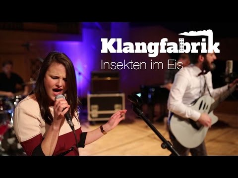 Insekten im Eis (cover) - Klangfabrik