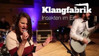 Insekten im Eis (cover) - Klangfabrik