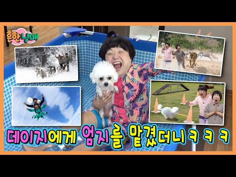 데이지랑 엄지랑 같이산다고? 엄지를 데이지에게 24시간 맡겼더니?ㅋㅋㅋㅋ