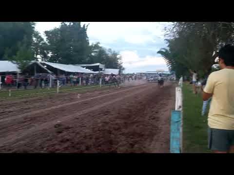 Turco vs Poderoso (largada), Hipico Campin - Tucumán