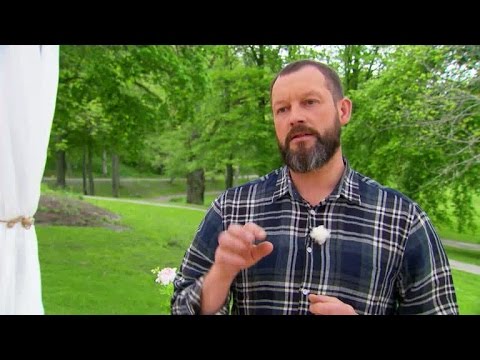 Johan Sörberg tipsar om hur du lyckas med spritsade kakor - Hela Sverige Bakar (TV4)