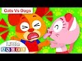 Cats Vs Dogs Kids Songs And Nursery Rhymes By Little Angel