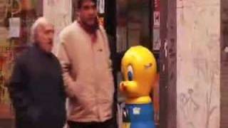 Paul Collins - Afton Place