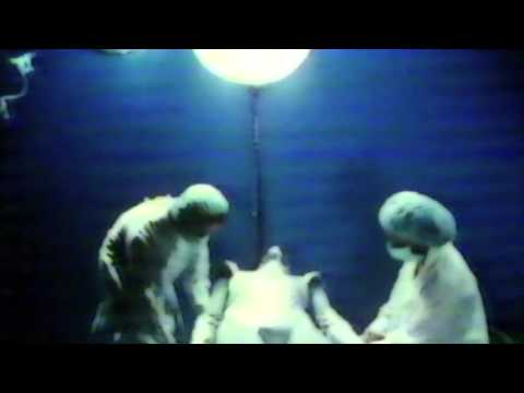 Arvid Tuba - "The Seasons Are Sitting On Chairs"