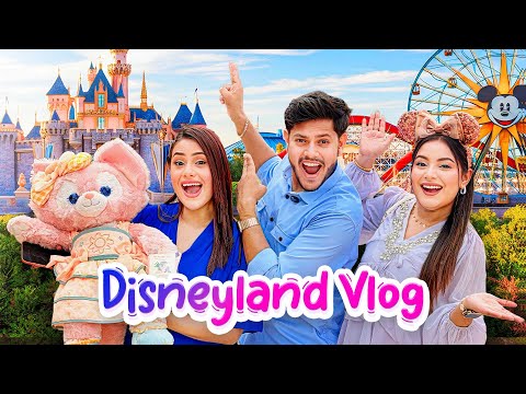 আমরা এখন DisneyLand এ 🏰 Our 24 Hours in Disneyland Felt Like a Dream ✨| Rakib Hossain