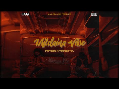 PSYBIN "MILDAINA VIBE" feat. TRINETRA [Official Video]