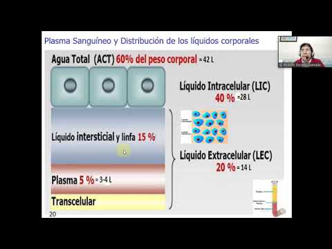 MOR112-B 21-06-21  ANATOMIA Y FISIOLOGIA