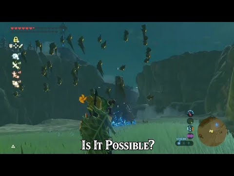 Is it Possible to STOP a swarm of Keese using a Korok Leaf?!