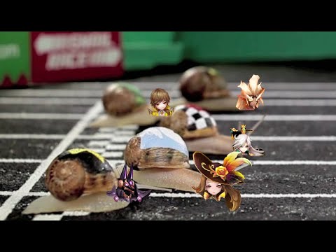 30 MINUTES OF C2-C3 SNAIL CLEAVE - SUMMONERS WAR