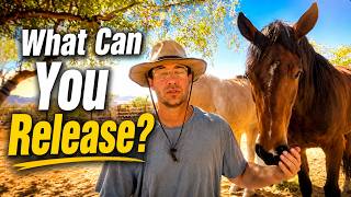 What the Horses Can Help You Release Through One Breath