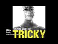 Tricky - Slow [2008 - Knowle West Boy]