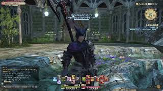 【初のDPSは】スサノオ村岡のぐだぐだFF14【竜騎士でした】