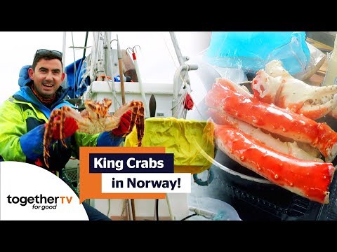 Catching and Cooking Monster King Crabs in Norway! | Earth Cycle