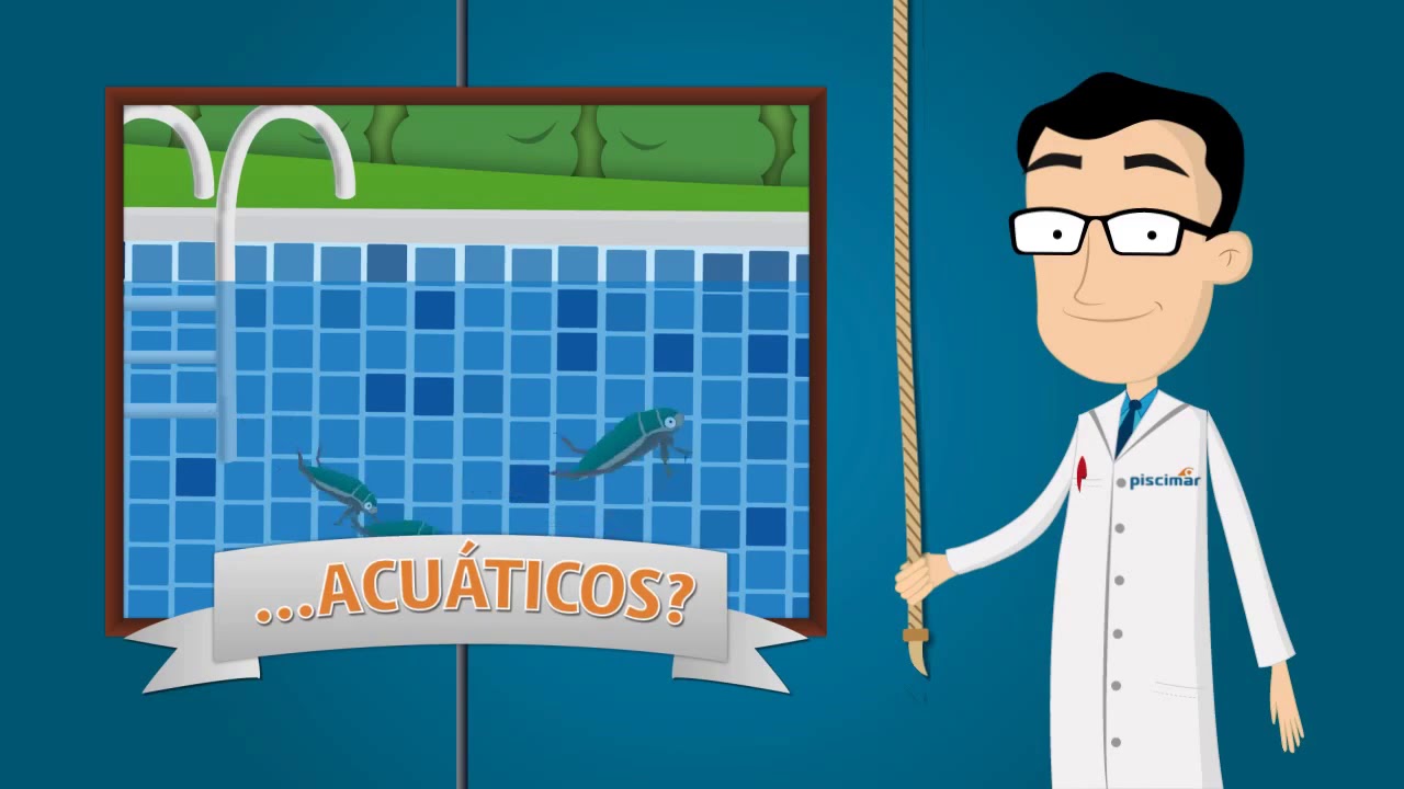 Eliminador de insectos para piscinas FAST DOWN de PISCIMAR en PisciJardin Jerez