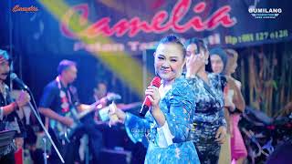 Download lagu I'M LOOKING FOR THE BEST WAY FOR ALL ARTISTS - CAMELIA MUSIC - WEDDING JAYANG & PUTRI - TUBANAN K... mp3 Download lagu I'M LOOKING FOR THE BEST WAY FOR ALL ARTISTS - CAMELIA MUSIC - WEDDING JAYANG & PUTRI - TUBANAN K... mp3