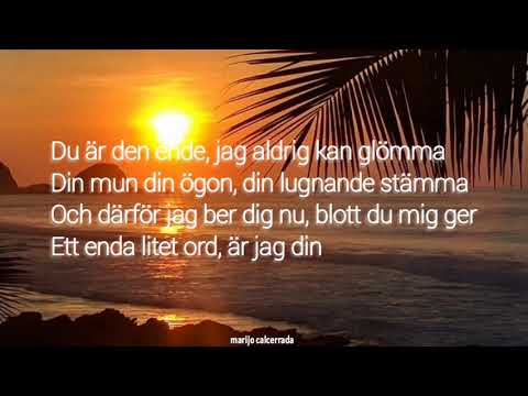 Du Är Den Ende • Lykke Li (Lyrics)