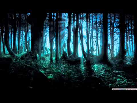 Dragos   MuzicoFantastic