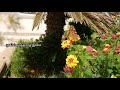 En Veettu Jannal Etti Yen Paakra Song WhatsApp Status Tamil Female Version Tamil