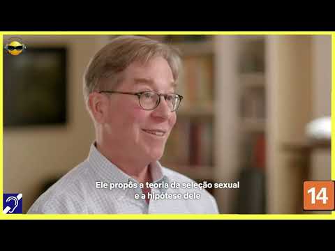 Tv Educativa   Cortes Netflix   Explicando a Beleza Dublado e com Legendas Hipoacusia Netflix Corte 06