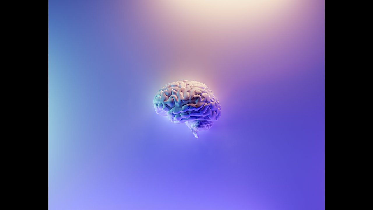 Psychedelic-Assisted Therapy - 2 Perspectives | Nora Mamblona and Aneta Herrenschmidt-Moller