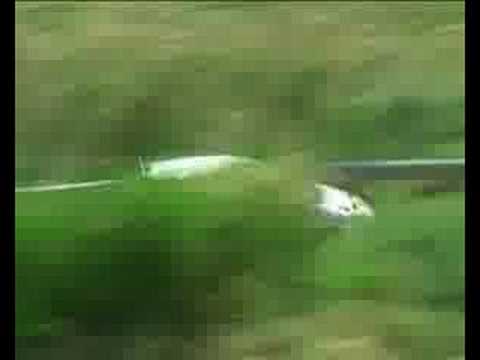 MARCO RUNFOLA 92° TARGA FLORIO FIAT PUNTO S2000