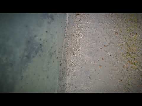 Wollaston Beach, Quincy, Massachusetts | June 2021