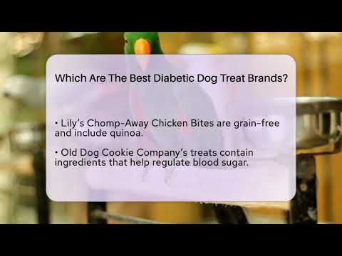 Which Are The Best Diabetic Dog Treat Brands? - PetGuide360.com