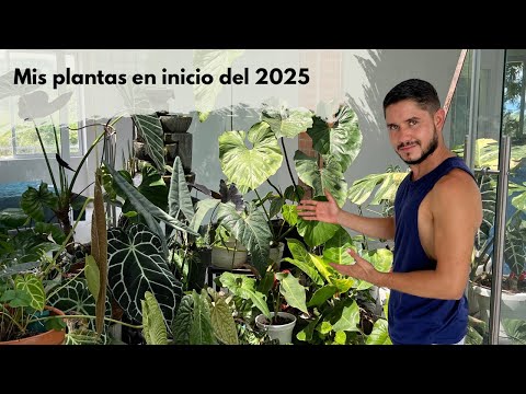 This is how 2025 begins! News in my garden and my plant collection 🌱