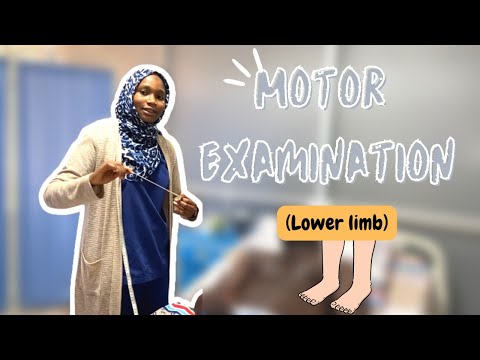Motor Examination of The Lower Limbs for MDCN