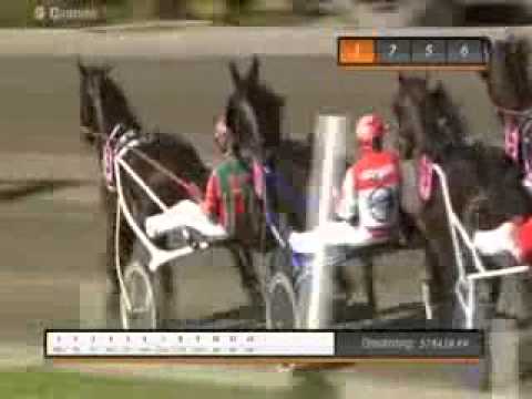 Dansk Trav Derby 2013 -Stand and Deliver