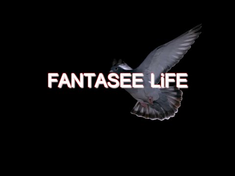 Tommy Holohan - Fantasee Life