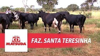 preview picture of video 'Fazenda Santa Teresinha (Cassilândia - MS)'