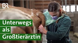 Traumberuf oder gefährlich? Unterwegs mit vier Landtierärztinnen | Uns