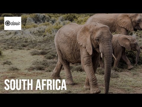 South Africa - Classic Mini DIY