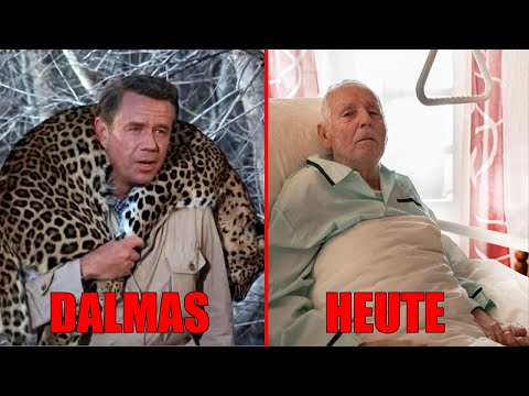 Schauspieler Daktari (1966-1969) | Damals und Heute 2024😱Wie haben sie sich verändert?