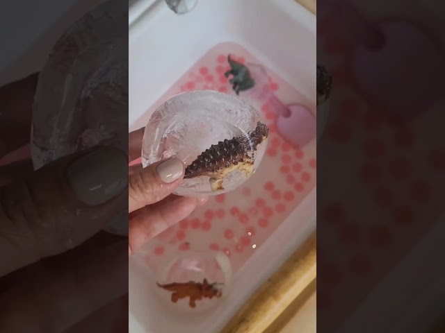 Vídeo relacionado con Juego de 4 anillos de dinosaurio con cambio de color, ajustable para fiestas, con temperatura animal, emociones divertidas para niños y niñas