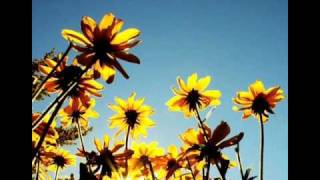 Colbie Caillat - Here comes the sun.wmv